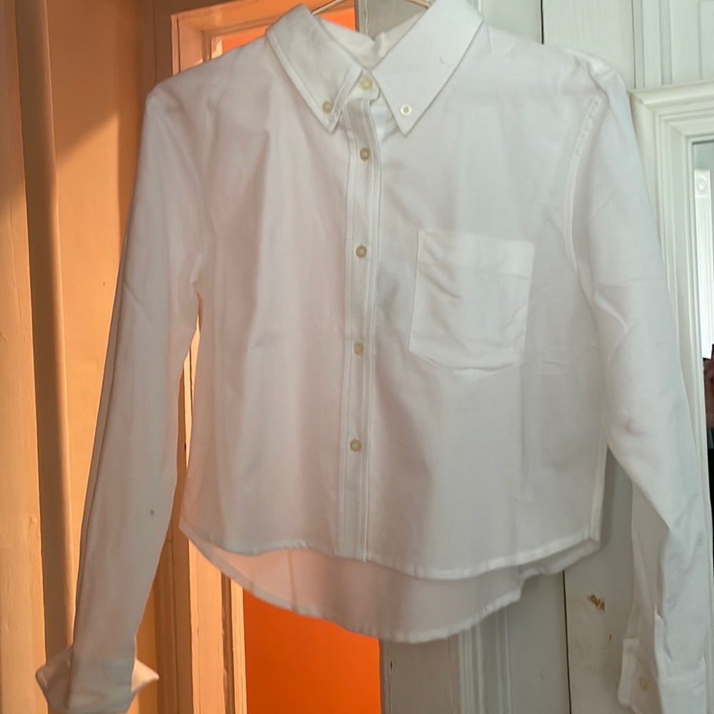 NWT Thakoon Cropped Oxford Shirt